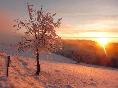 Chalet en saint maurice sur moselle (Vosges)Casa de vacaciones