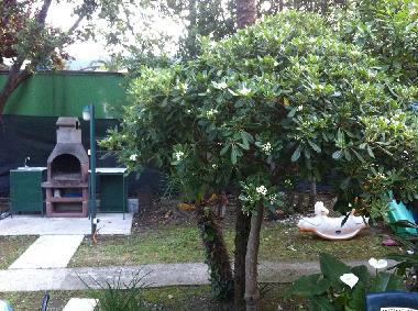 Apartamento de vacaciones en Igalo (Montenegro)Casa de vacaciones