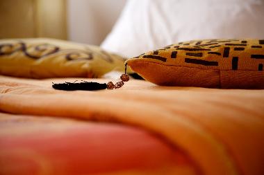 Villa en Marrakech (Marrakech)Casa de vacaciones