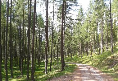 Casa de vacaciones en Heiligenblut am Gro�glockner (Oberk�rnten)Casa de vacaciones
