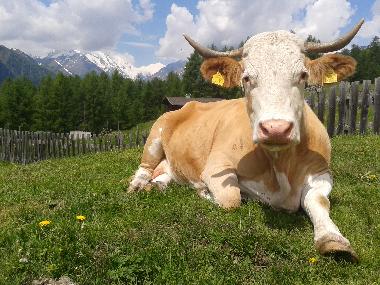 Casa de vacaciones en Heiligenblut am Gro�glockner (Oberk�rnten)Casa de vacaciones