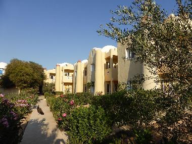 Cama y desayuno en Zarzis (Madanin)Casa de vacaciones