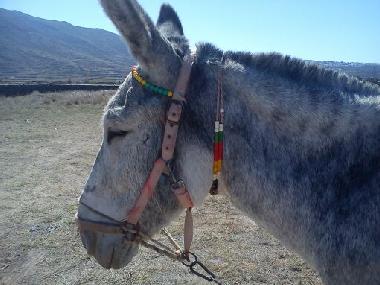Casa de vacaciones en santorin (Kyklades)Casa de vacaciones