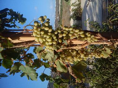 Casa de vacaciones en santorin (Kyklades)Casa de vacaciones