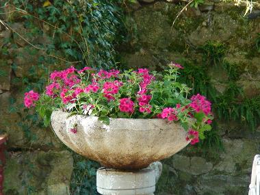 Cama y desayuno en blot l
