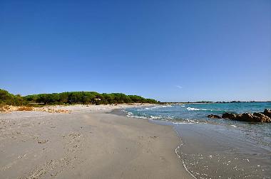 Apartamento de vacaciones en Sos Alinos (Nuoro)Casa de vacaciones