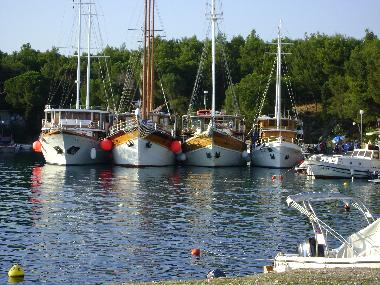 Apartamento de vacaciones en Mandre (Zadarska)Casa de vacaciones