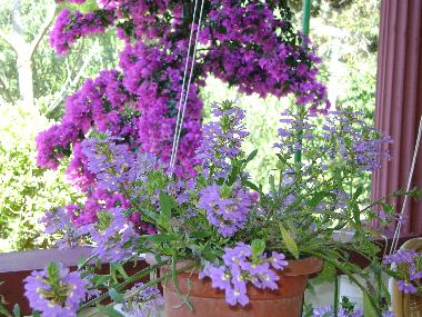 Apartamento de vacaciones en Mandre (Zadarska)Casa de vacaciones