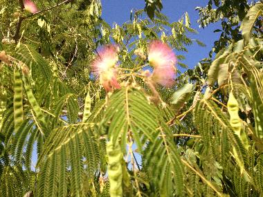 Villa en Manduria (Taranto)Casa de vacaciones