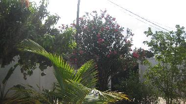Apartamento de vacaciones en Kerr Serign (Banjul)Casa de vacaciones