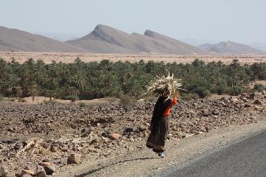 Cama y desayuno en Zagora (Ouarzazate)Casa de vacaciones