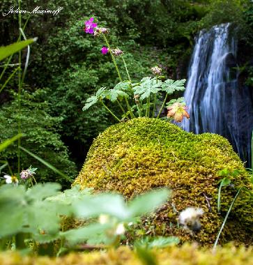 Casa de vacaciones en Barutin (Smolyan)Casa de vacaciones