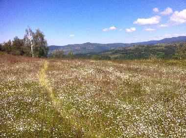 Casa de vacaciones en Barutin (Smolyan)Casa de vacaciones