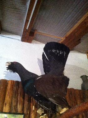 Casa de vacaciones en Barutin (Smolyan)Casa de vacaciones