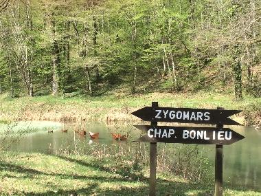 Chalet en Virton (Wallonia)Casa de vacaciones