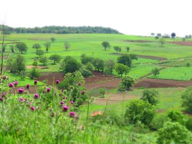 Casa de vacaciones en Falerna (Catanzaro)Casa de vacaciones
