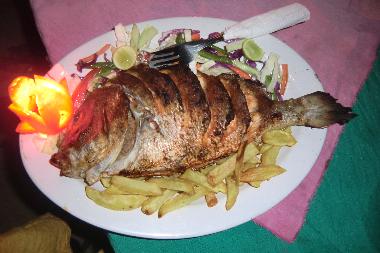 Hotel en Agonda Goa  (Goa)Casa de vacaciones