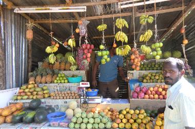 Hotel en Agonda Goa  (Goa)Casa de vacaciones
