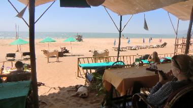 Hotel en Agonda Goa  (Goa)Casa de vacaciones