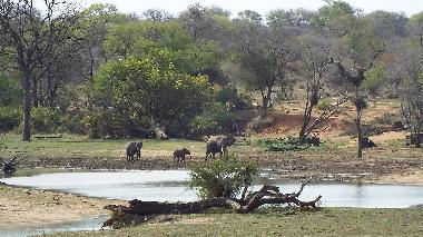 Casa de vacaciones en Hoedspruit (Mpumalanga)Casa de vacaciones