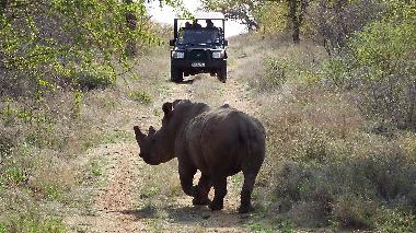 Casa de vacaciones en Hoedspruit (Mpumalanga)Casa de vacaciones