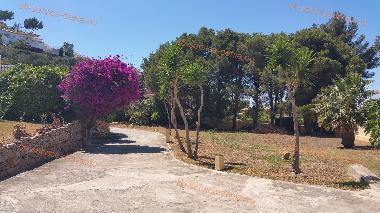 Apartamento de vacaciones en Dnia (Alicante / Alacant)Casa de vacaciones