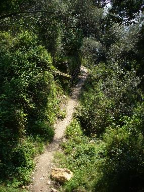 Casa de vacaciones en Montemarcello di Ameglia (La Spezia)Casa de vacaciones