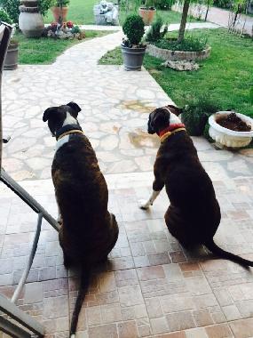 Villa en ANTALYA (Antalya)Casa de vacaciones