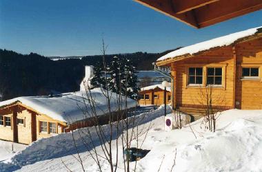 Apartamento de vacaciones en Masserberg OT Fehrenbach (Thringer Wald)Casa de vacaciones