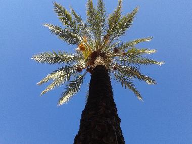 Apartamento de vacaciones en Marrakech (Marrakech)Casa de vacaciones