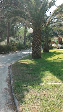 Apartamento de vacaciones en Calvi (Haute-Corse)Casa de vacaciones