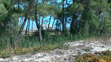 Apartamento de vacaciones en Calvi (Haute-Corse)Casa de vacaciones