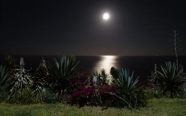 Apartamento de vacaciones en Torremolinos (M�laga)Casa de vacaciones