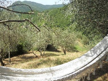 Cama y desayuno en FIVIZZANO (Massa-Carrara)Casa de vacaciones