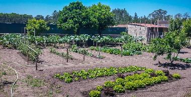 Casa de vacaciones en Labrengos-Coves (Centro (P))Casa de vacaciones