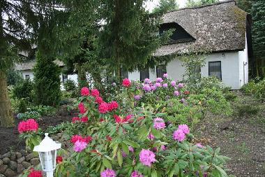 Apartamento de vacaciones en Soltau (Lneburger Heide)Casa de vacaciones