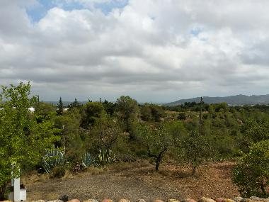 Villa en La Bisbal del Penedes (Tarragona)Casa de vacaciones