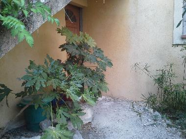 Apartamento de vacaciones en coaraze (Alpes-Maritimes)Casa de vacaciones