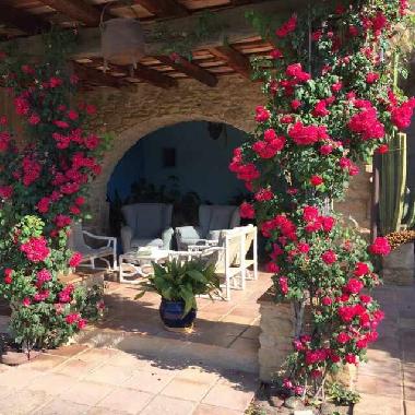 Casa de vacaciones en Saus Camallera Camallera (Girona)Casa de vacaciones