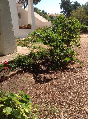 Apartamento de vacaciones en Olbia (Olbia-Tempio)Casa de vacaciones