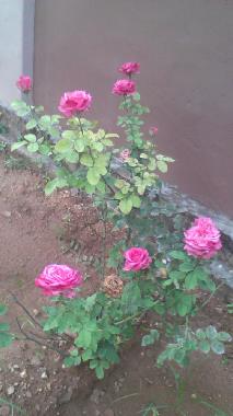 Casa de vacaciones en Urumpirai, Jaffna (Jaffna)Casa de vacaciones