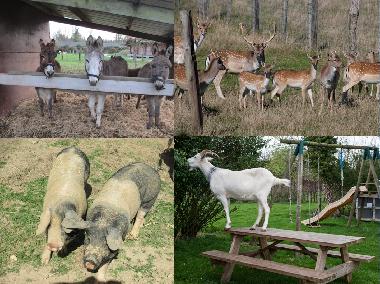 Casa de vacaciones en colleville (Seine-Maritime)Casa de vacaciones