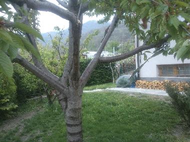 Apartamento de vacaciones en Saint-Vincent (Valle d