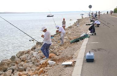 Apartamento de vacaciones en Vir (Zadarska)Casa de vacaciones