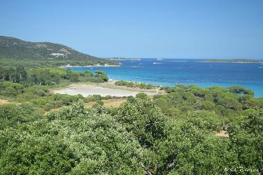 Apartamento de vacaciones en Santa Maria Poggio (Haute-Corse)Casa de vacaciones