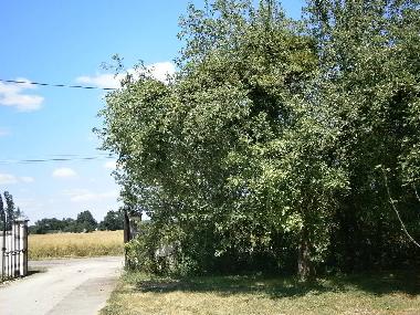 Casa de vacaciones en sennecey legrand (Sa�ne-et-Loire)Casa de vacaciones