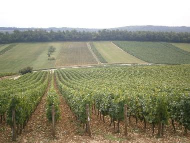 Casa de vacaciones en sennecey legrand (Sa�ne-et-Loire)Casa de vacaciones