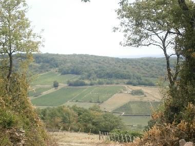 Casa de vacaciones en sennecey legrand (Sa�ne-et-Loire)Casa de vacaciones