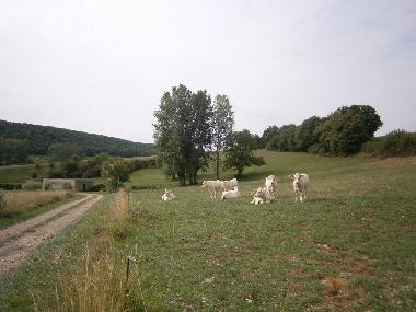 Casa de vacaciones en sennecey legrand (Sa�ne-et-Loire)Casa de vacaciones