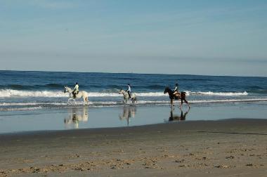 Apartamento de vacaciones en Arachania (Rocha)Casa de vacaciones